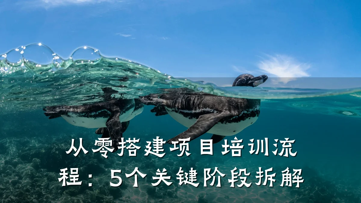 从零搭建项目培训流程:5个关键阶段拆解