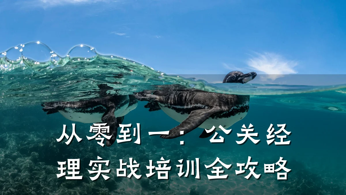 从零到一:公关经理实战培训全攻略