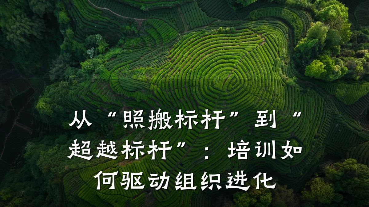 从“照搬标杆”到“超越标杆”:培训如何驱动组织进化