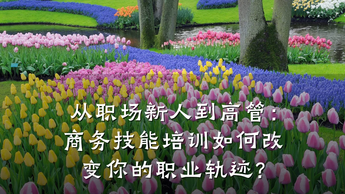 从职场新人到高管:商务技能培训如何改变你的职业轨迹?