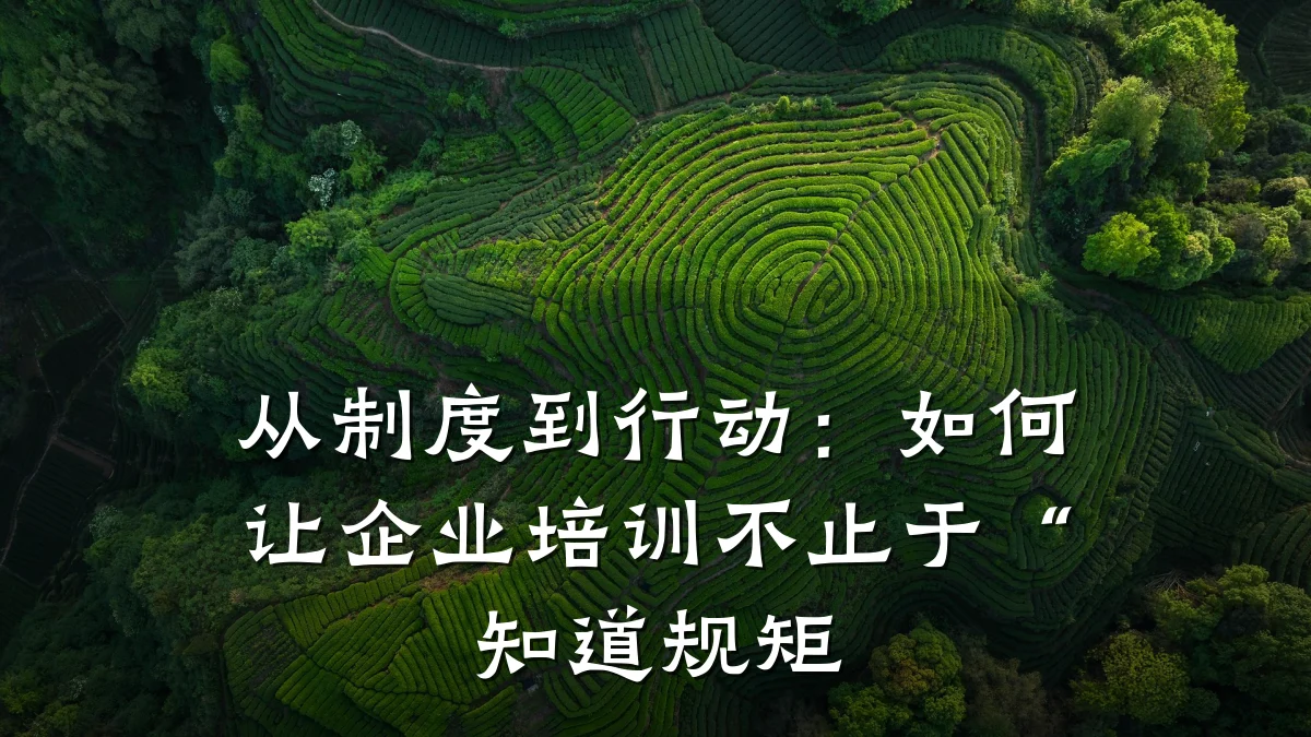 从制度到行动:如何让企业培训不止于“知道规矩