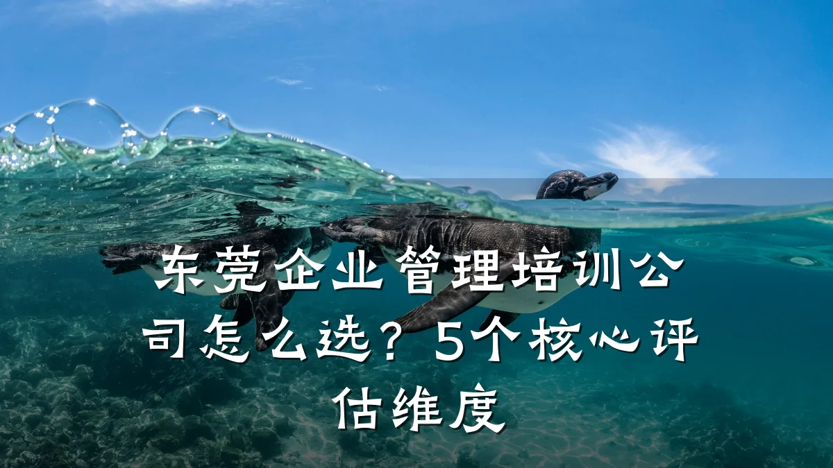 东莞企业管理培训公司怎么选?5个核心评估维度
