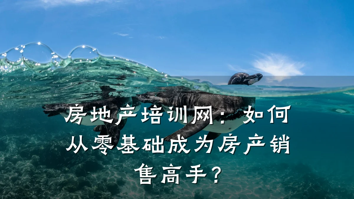 房地产培训网:如何从零基础成为房产销售高手?