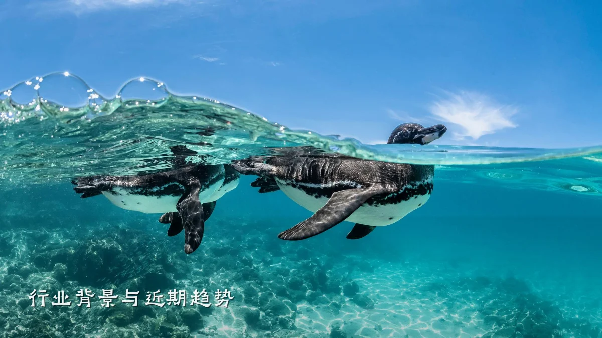 行业背景与近期趋势
