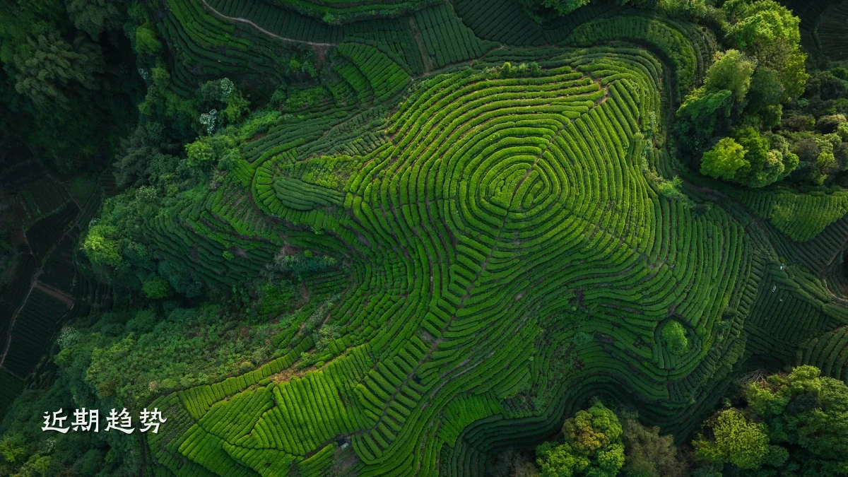 近期趋势