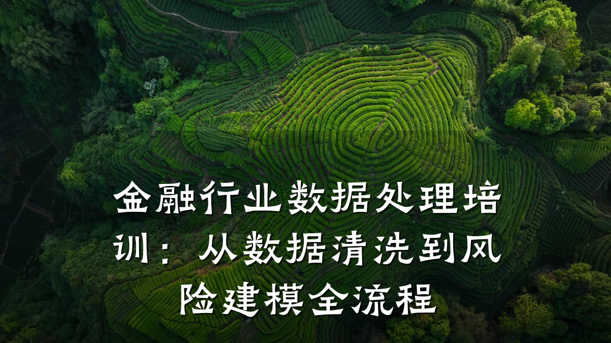 金融行业数据处理培训:从数据清洗到风险建模全流程