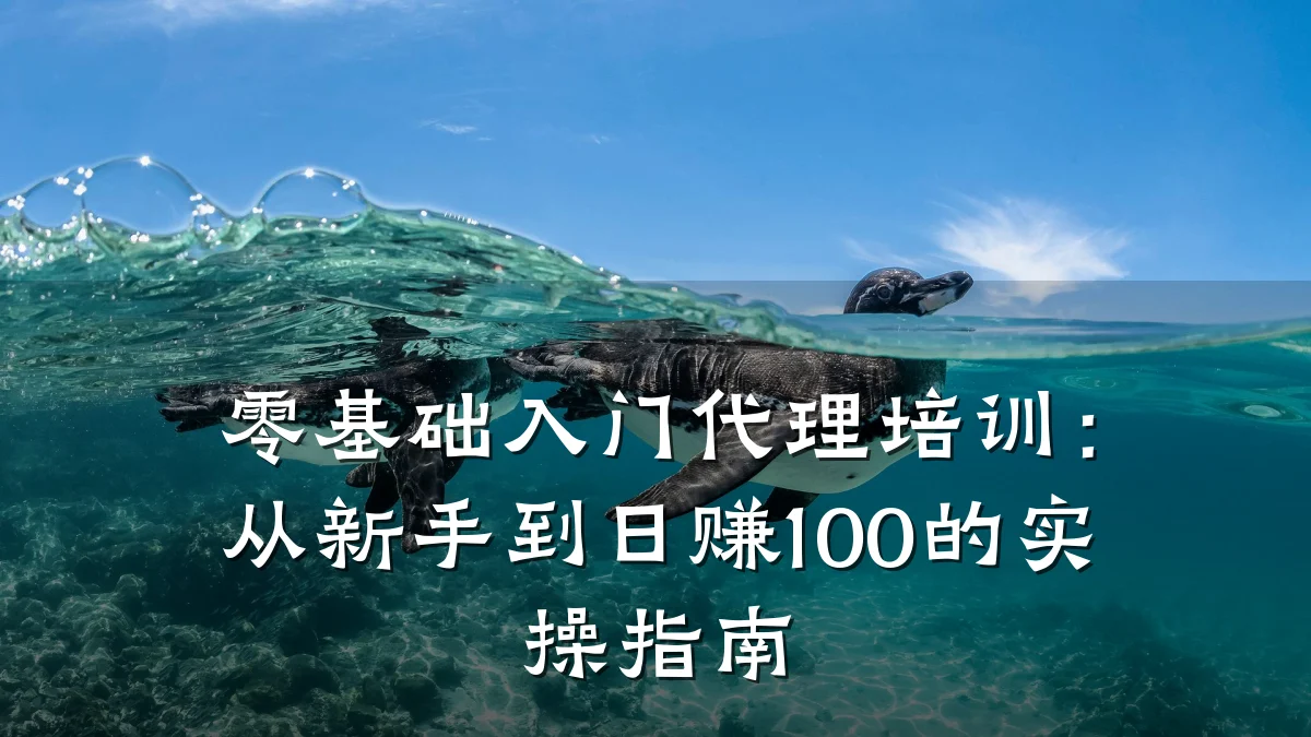 零基础入门代理培训:从新手到日赚100的实操指南