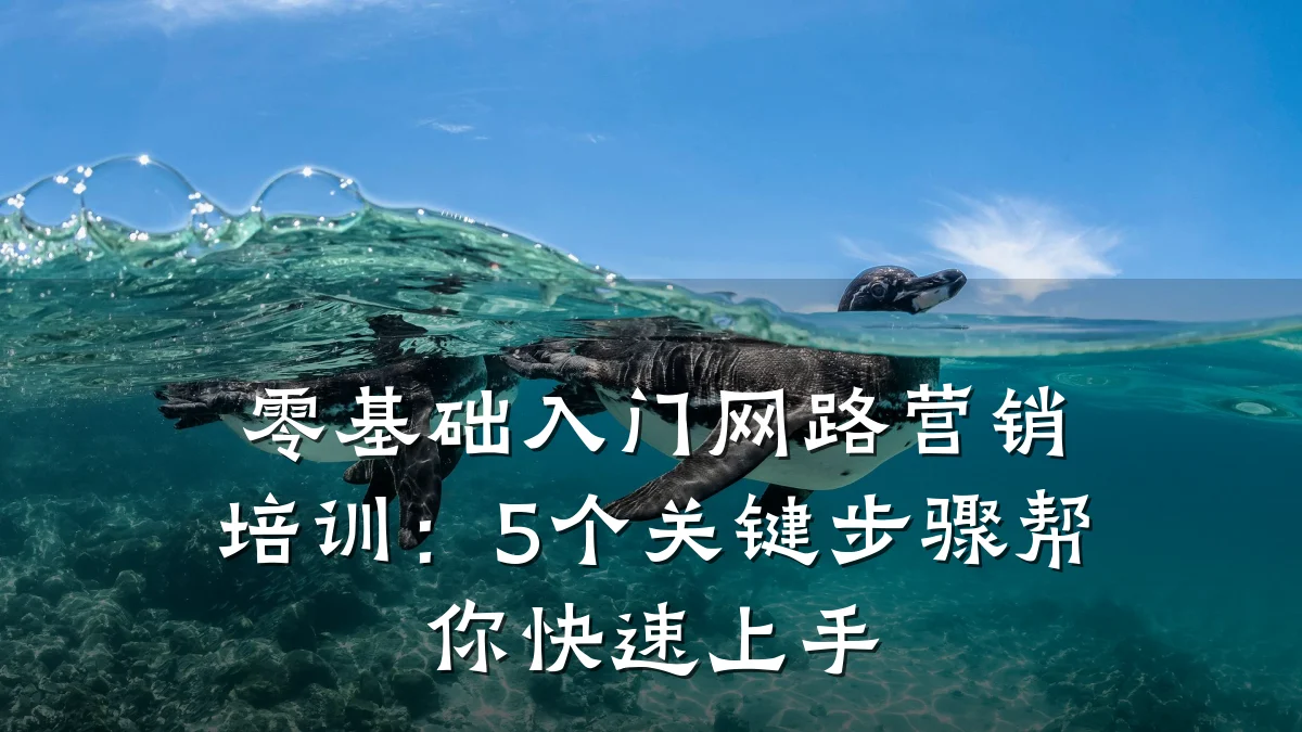 零基础入门网路营销培训:5个关键步骤帮你快速上手