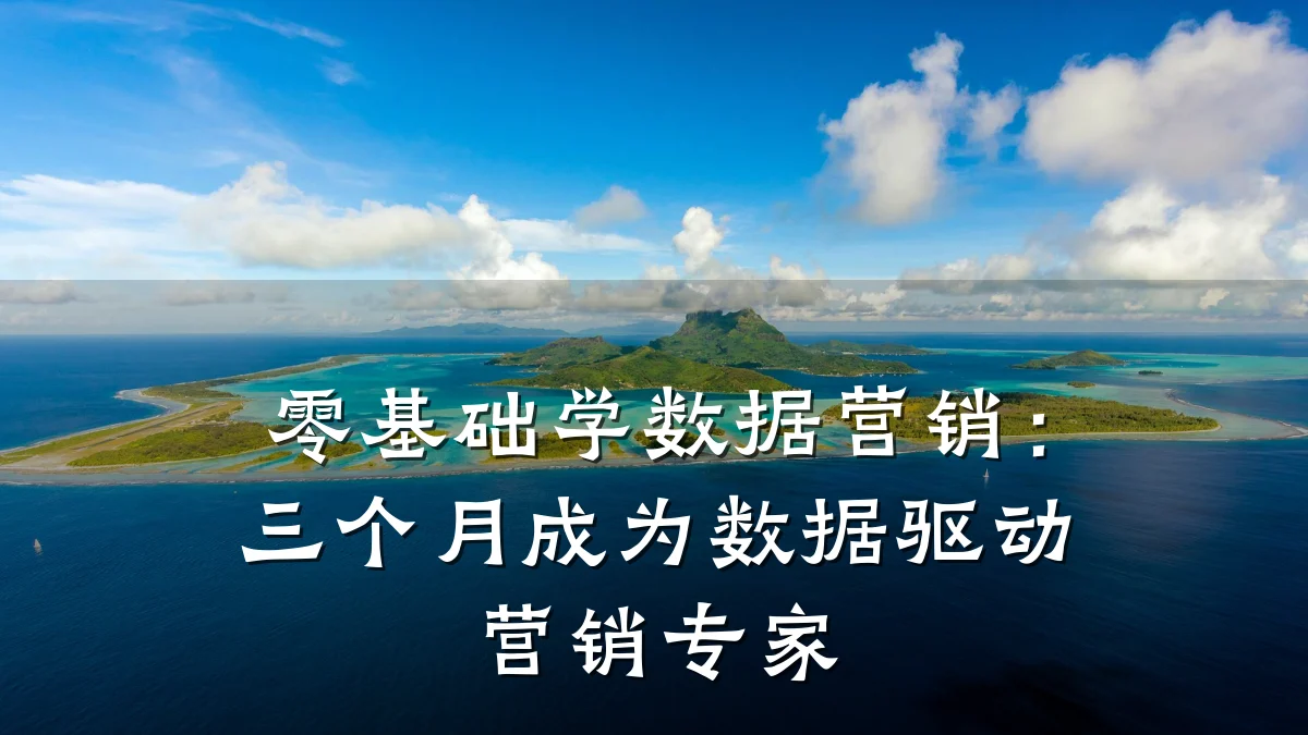 零基础学数据营销:三个月成为数据驱动营销专家