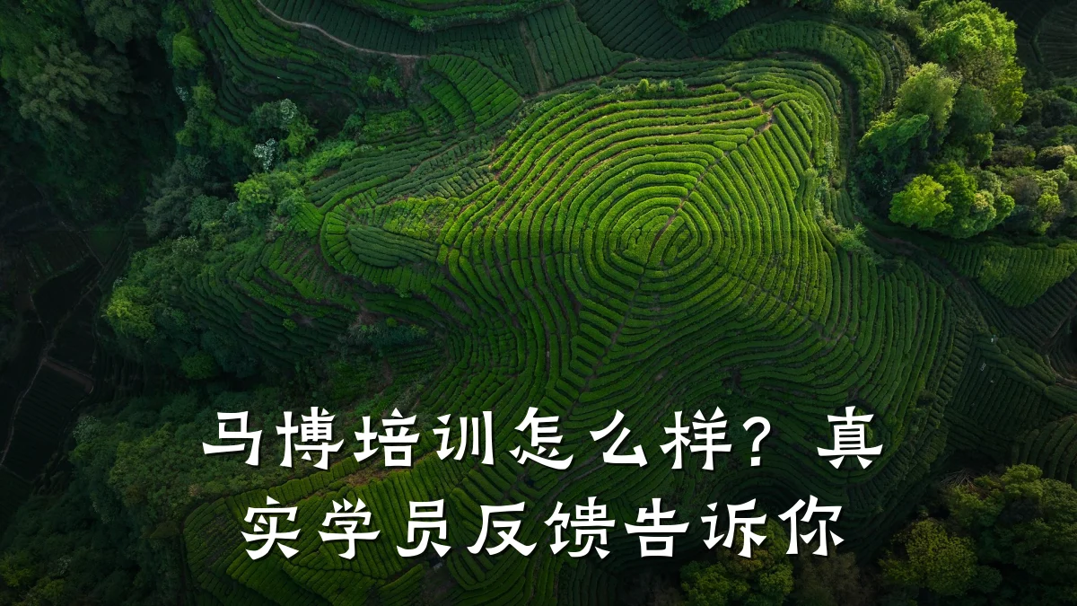 马博培训怎么样?真实学员反馈告诉你