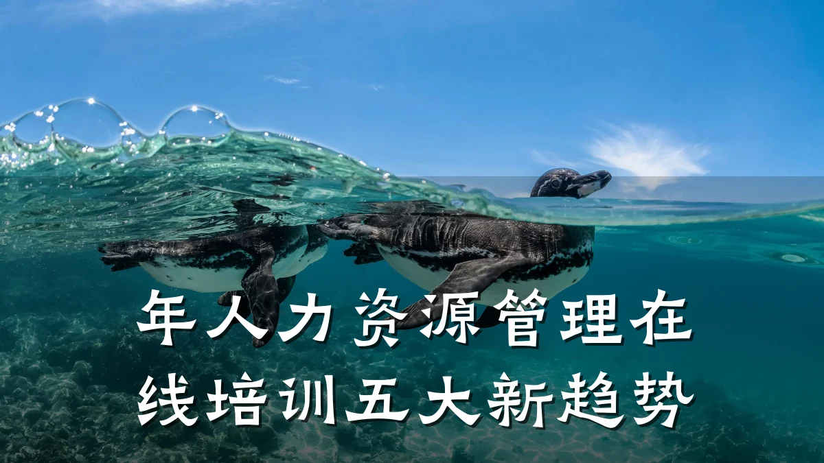 年人力资源管理在线培训五大新趋势