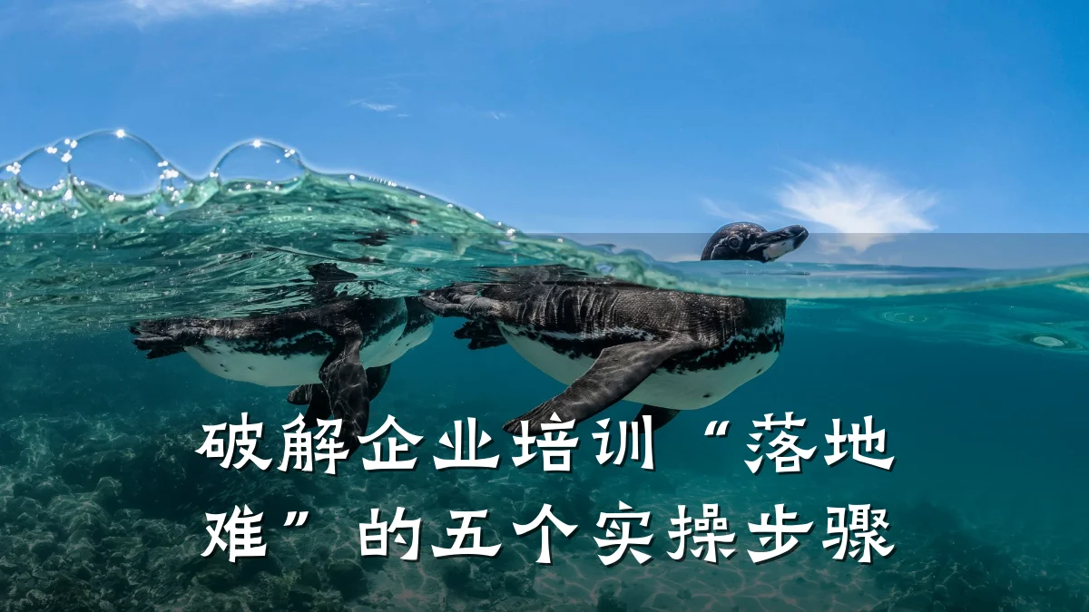 破解企业培训“落地难”的五个实操步骤