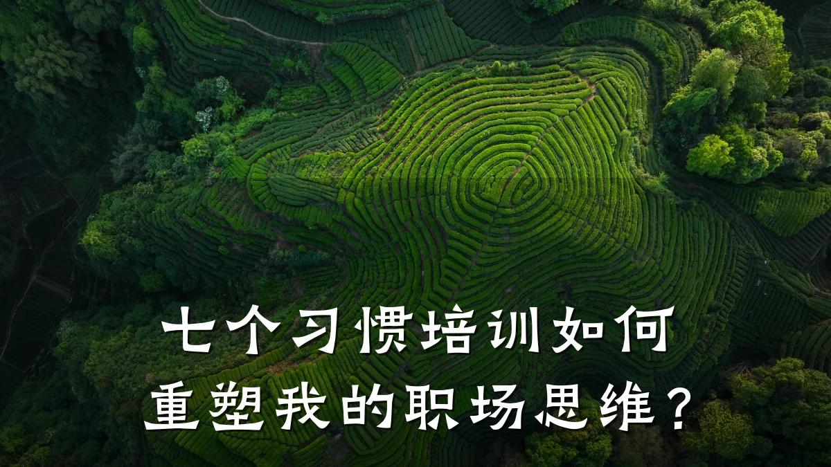 七个习惯培训如何重塑我的职场思维?