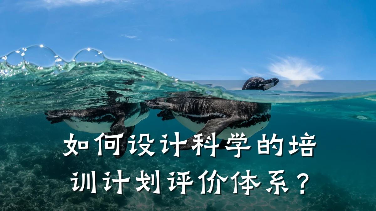 如何设计科学的培训计划评价体系?