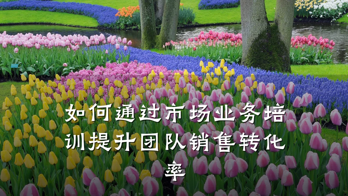 如何通过市场业务培训提升团队销售转化率
