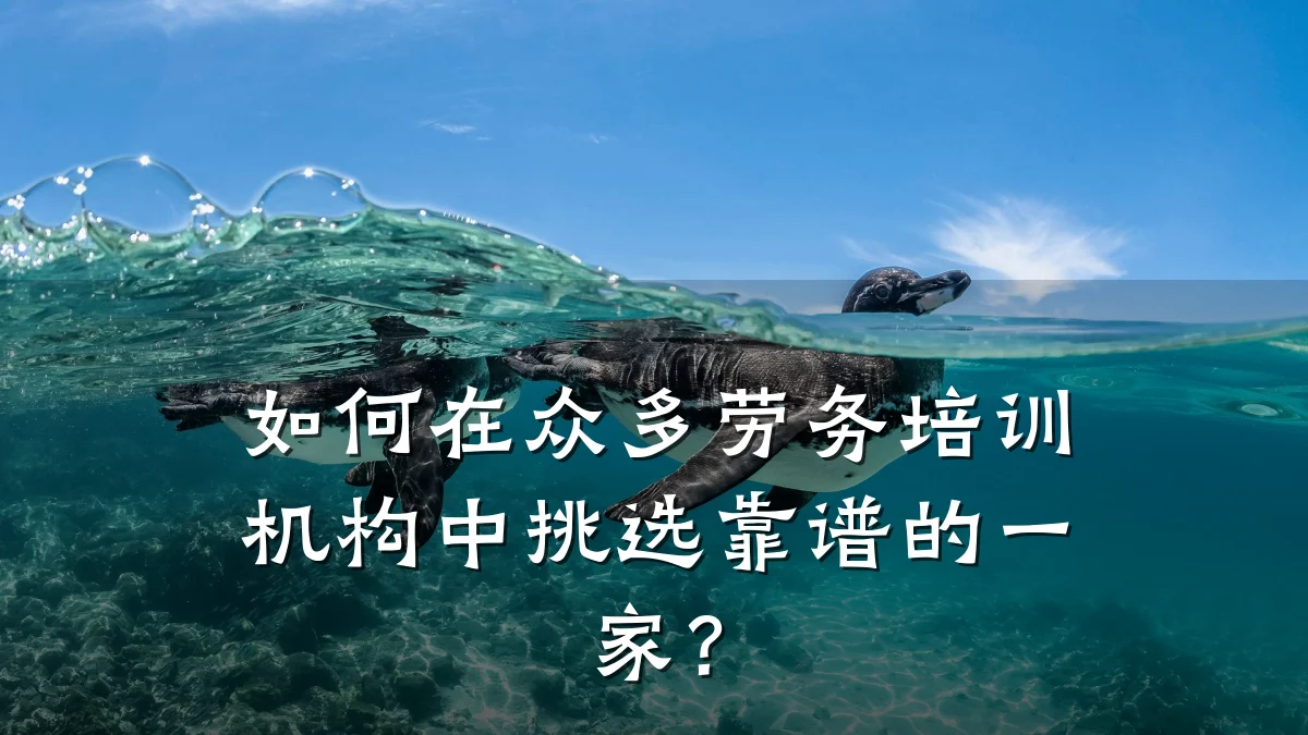 如何在众多劳务培训机构中挑选靠谱的一家?