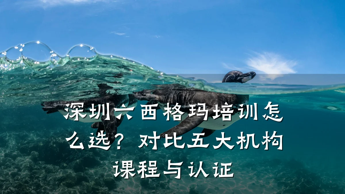 深圳六西格玛培训怎么选?对比五大机构课程与认证
