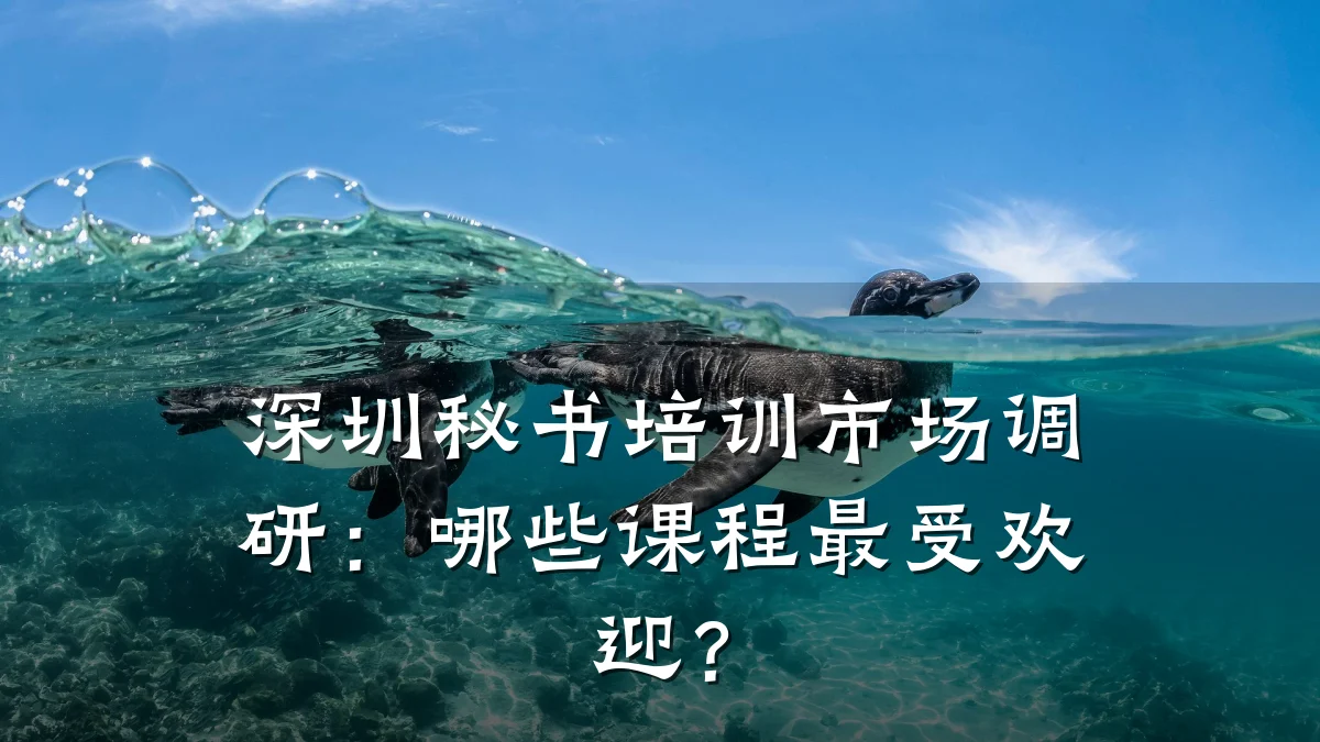 深圳秘书培训市场调研:哪些课程最受欢迎?