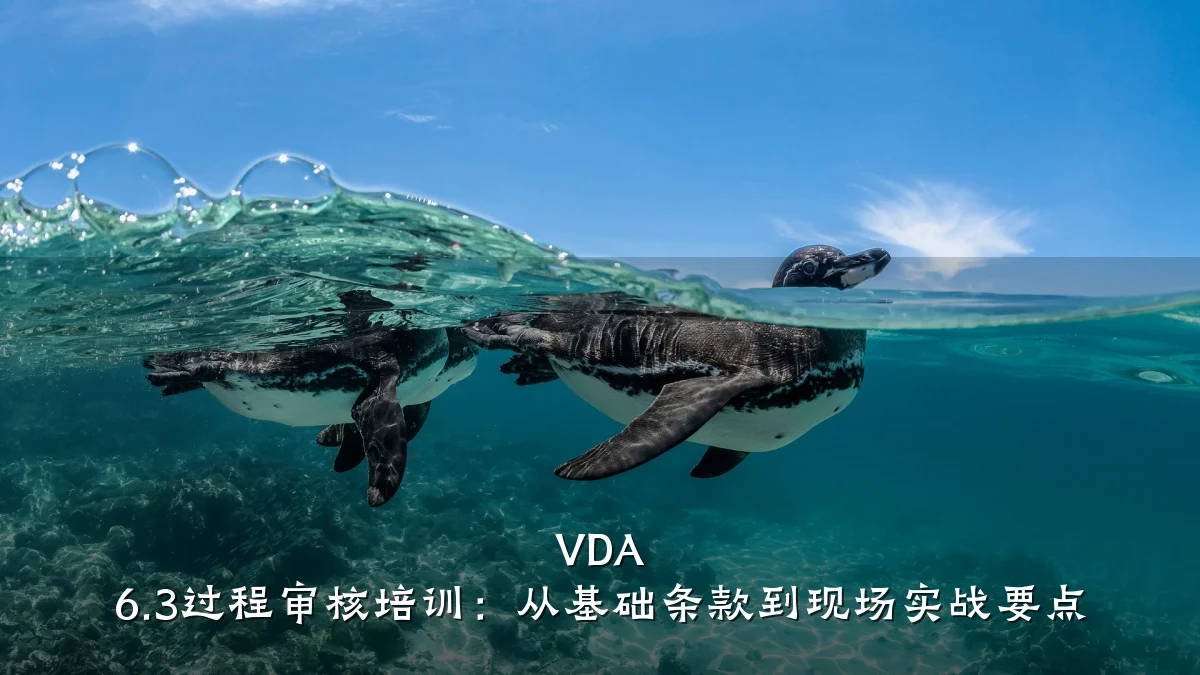 VDA 6.3过程审核培训:从基础条款到现场实战要点