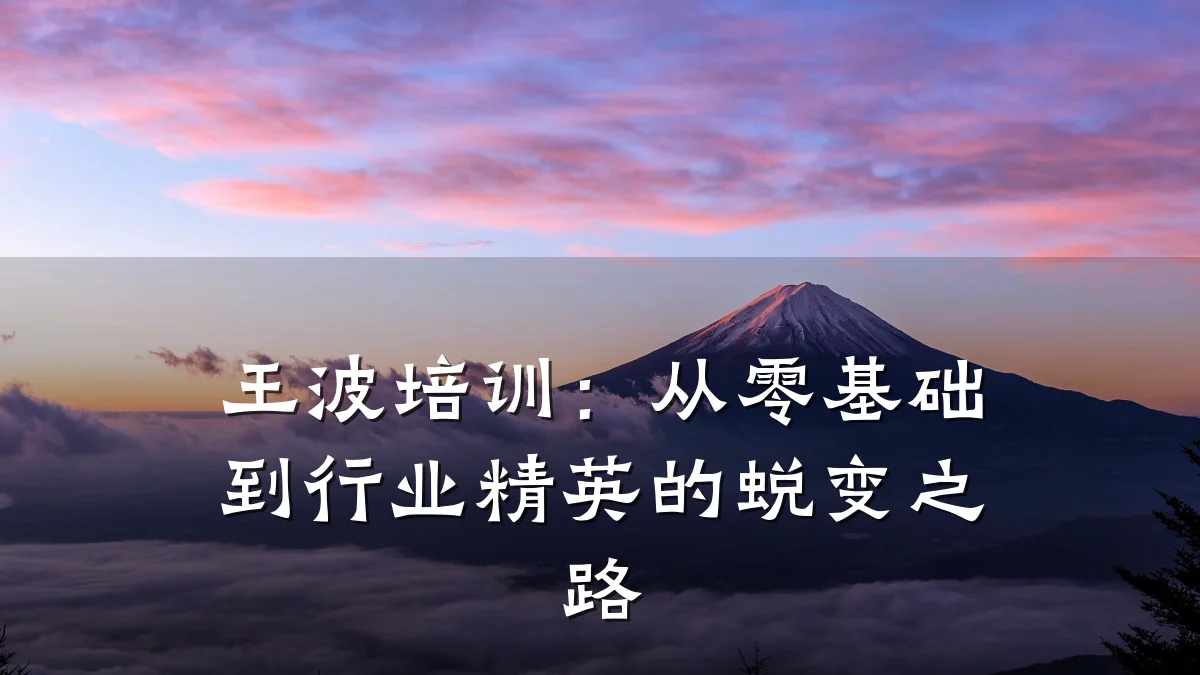 王波培训:从零基础到行业精英的蜕变之路