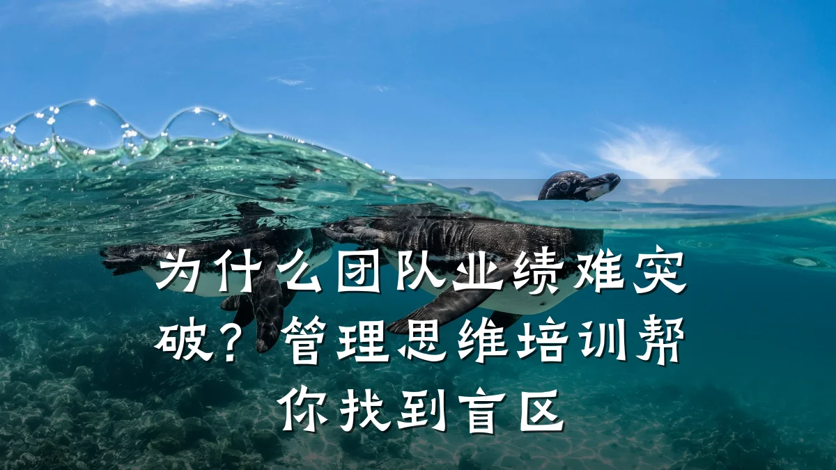 为什么团队业绩难突破?管理思维培训帮你找到盲区