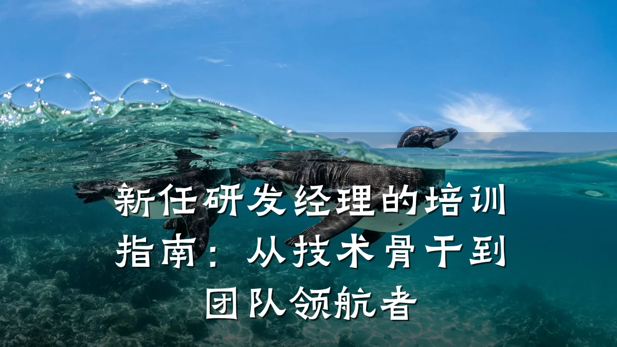 新任研发经理的培训指南:从技术骨干到团队领航者