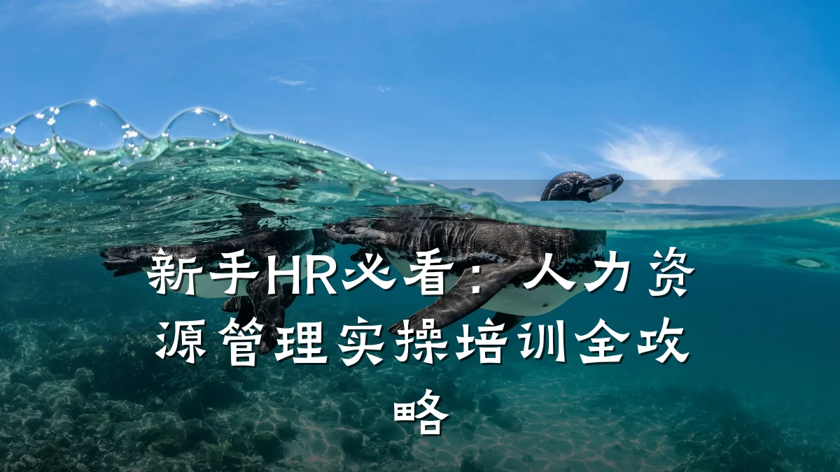 新手HR必看:人力资源管理实操培训全攻略