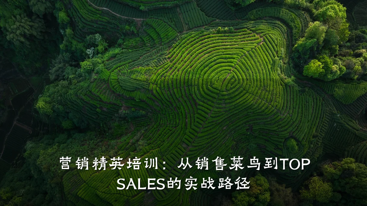 营销精英培训:从销售菜鸟到TOP SALES的实战路径