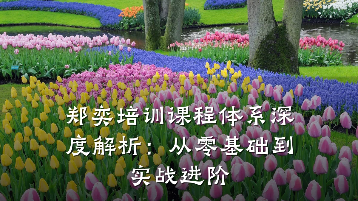 郑奕培训课程体系深度解析:从零基础到实战进阶