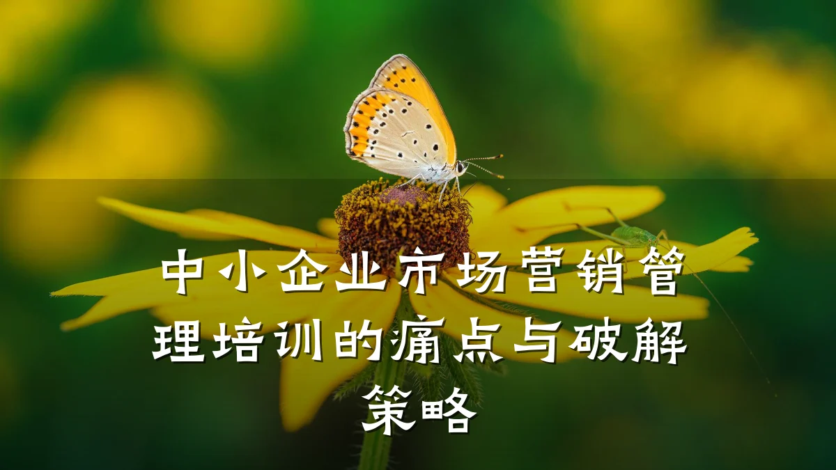 中小企业市场营销管理培训的痛点与破解策略