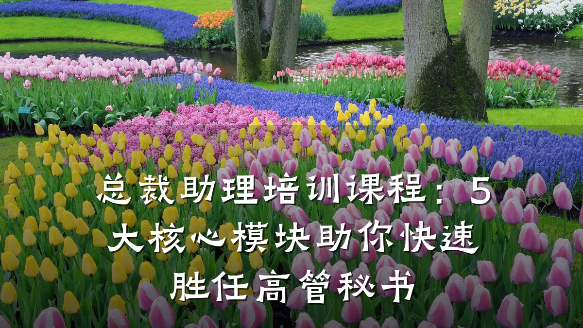 总裁助理培训课程:5大核心模块助你快速胜任高管秘书