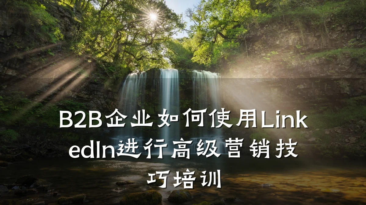 B2B企业如何使用LinkedIn进行高级营销技巧培训