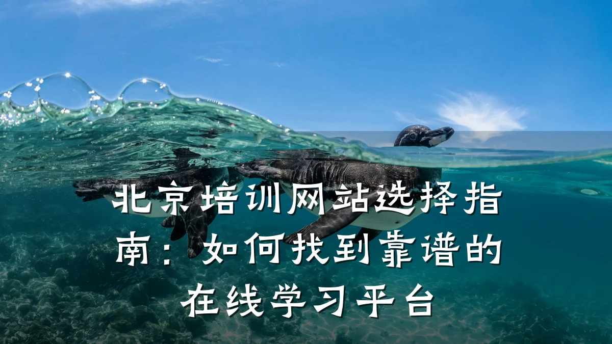 北京培训网站选择指南:如何找到靠谱的在线学习平台