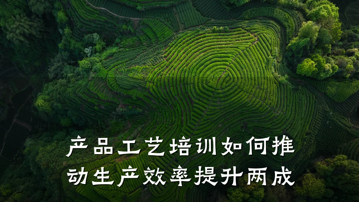 产品工艺培训如何推动生产效率提升两成