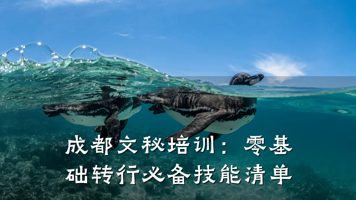 成都文秘培训:零基础转行必备技能清单
