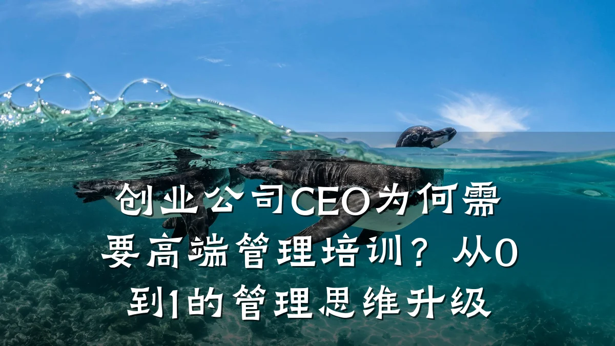 创业公司CEO为何需要高端管理培训?从0到1的管理思维升级