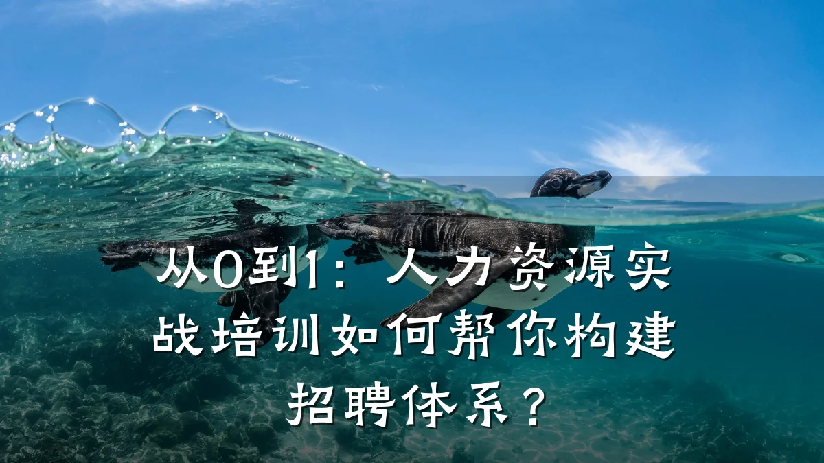 从0到1:人力资源实战培训如何帮你构建招聘体系?