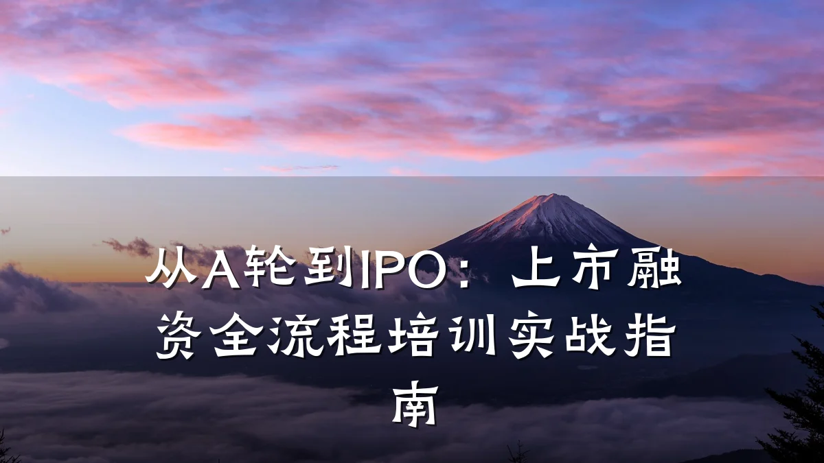 从A轮到IPO:上市融资全流程培训实战指南