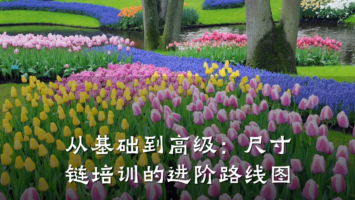 从基础到高级:尺寸链培训的进阶路线图