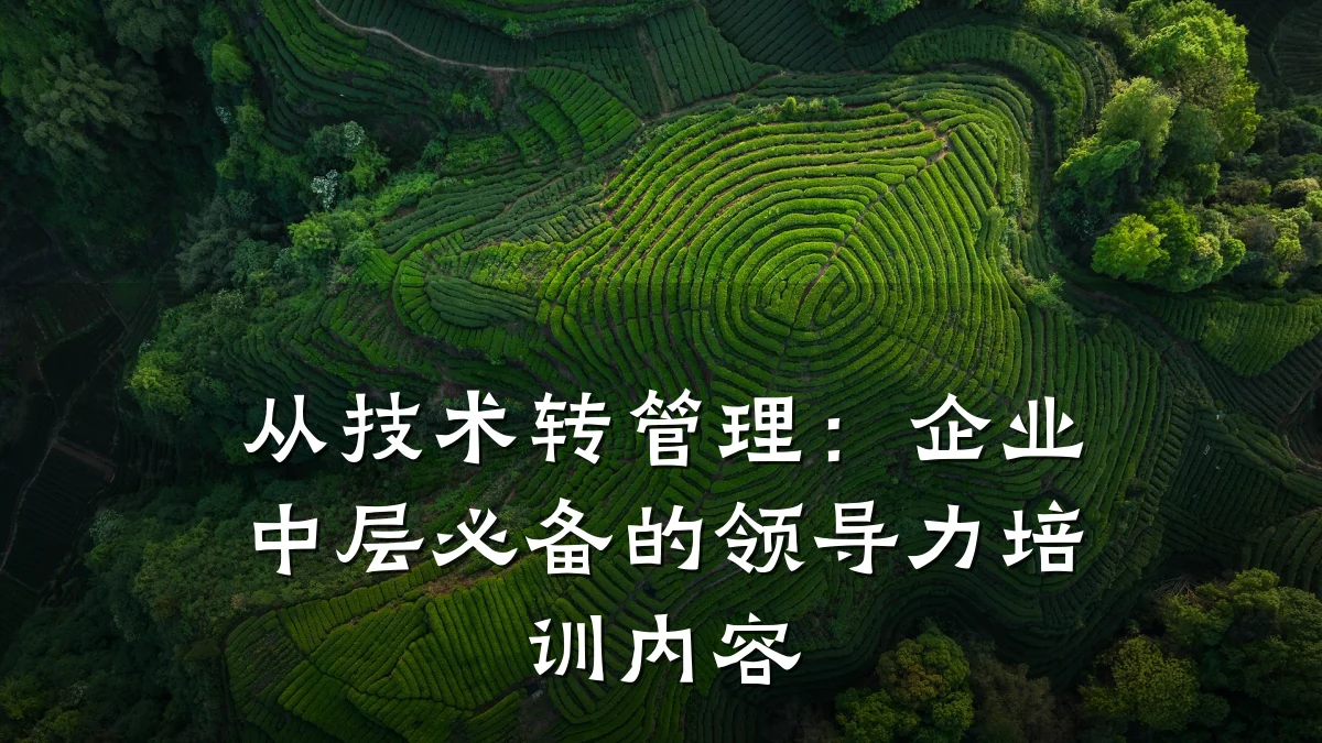 从技术转管理:企业中层必备的领导力培训内容