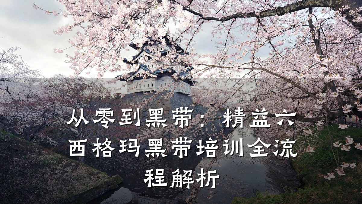 从零到黑带:精益六西格玛黑带培训全流程解析