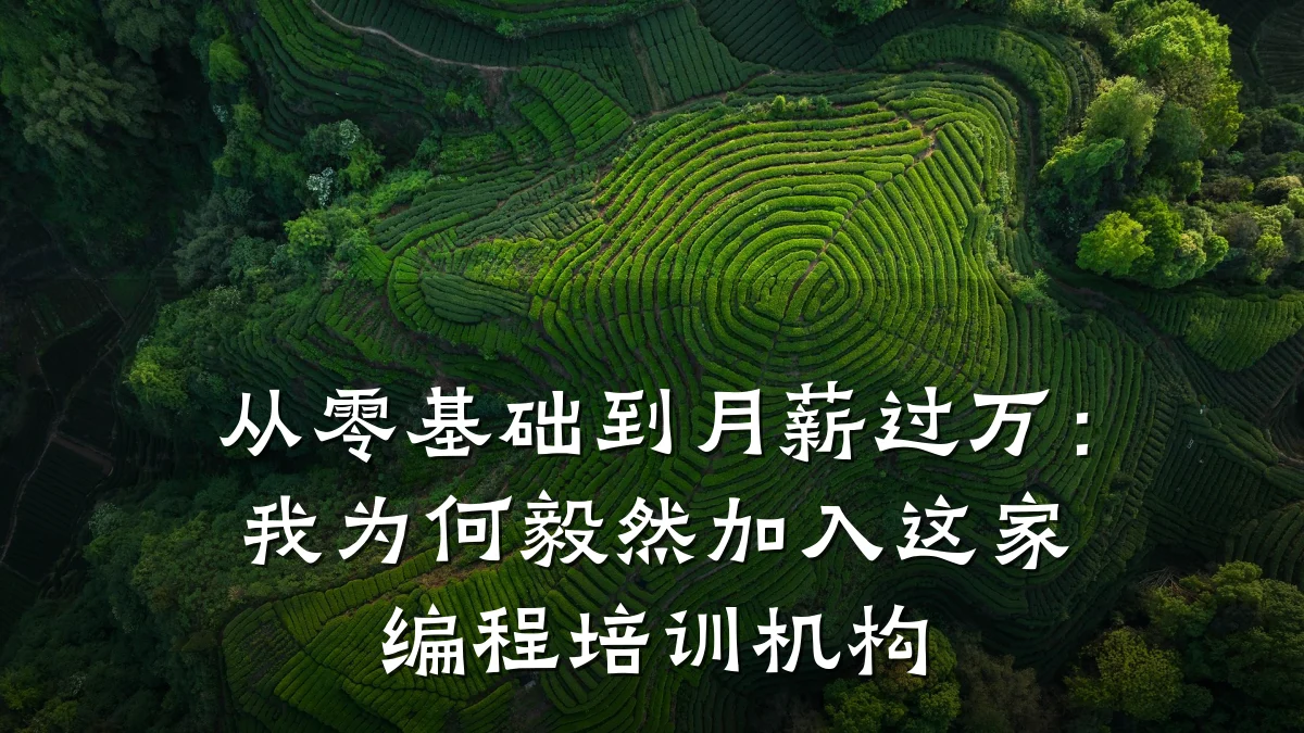 从零基础到月薪过万:我为何毅然加入这家编程培训机构