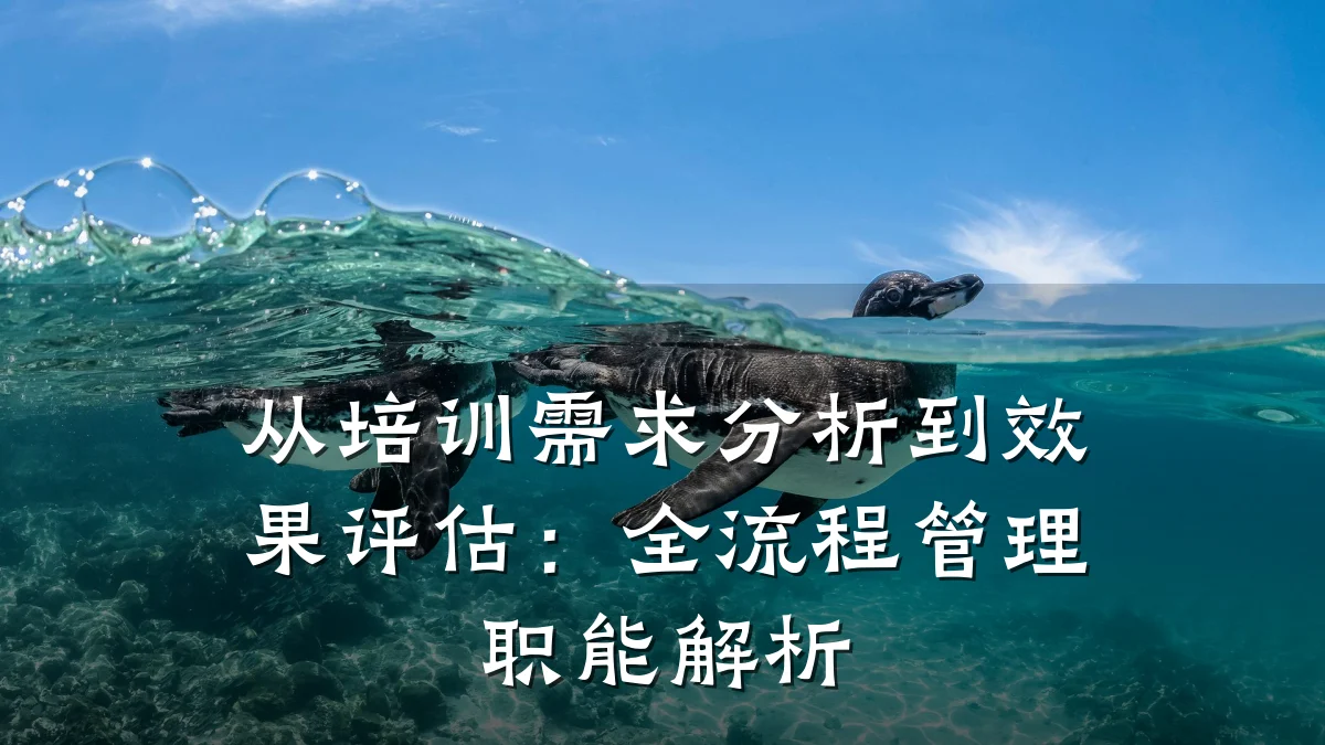 从培训需求分析到效果评估:全流程管理职能解析