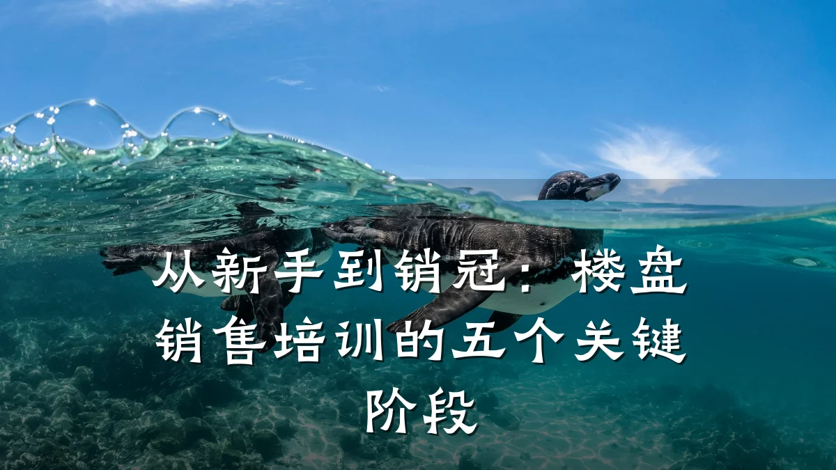 从新手到销冠:楼盘销售培训的五个关键阶段