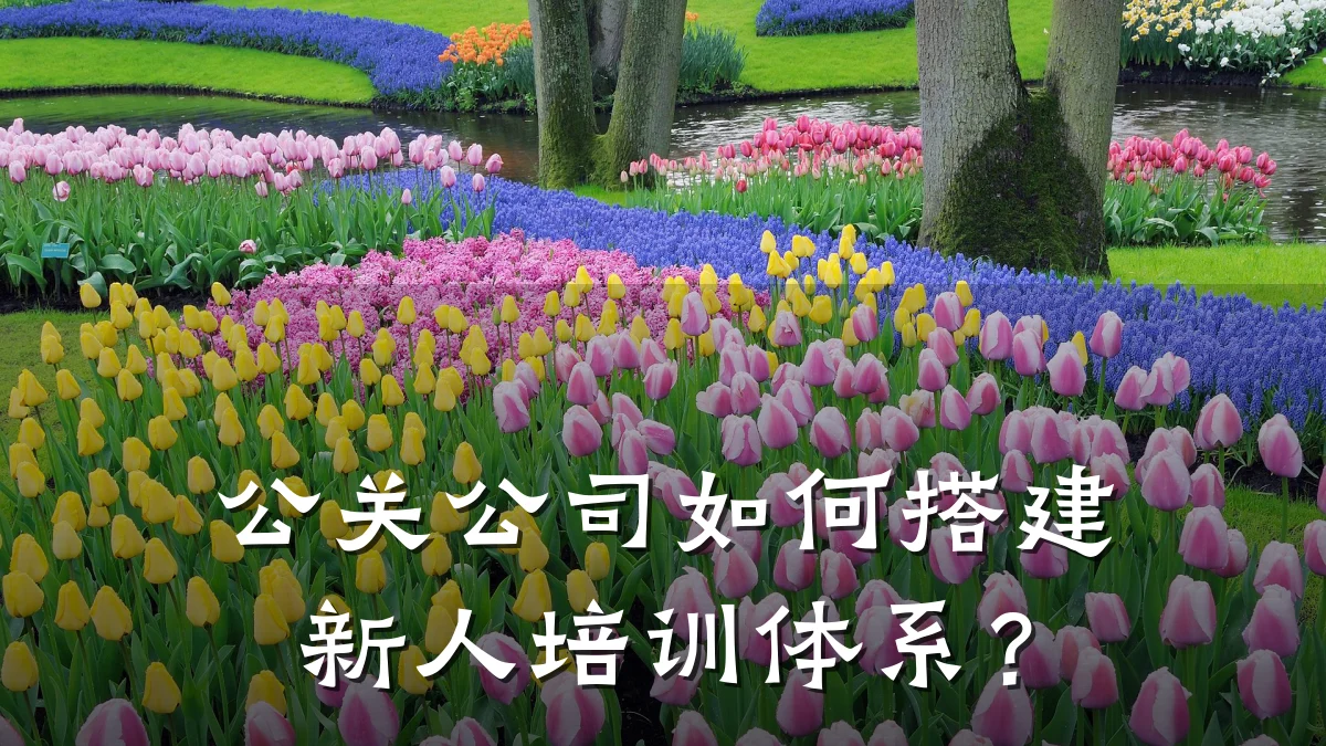 公关公司如何搭建新人培训体系?