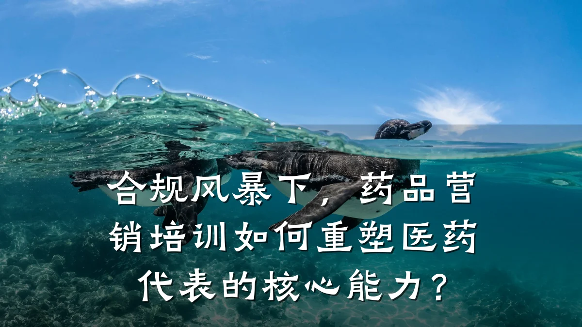 合规风暴下,药品营销培训如何重塑医药代表的核心能力?
