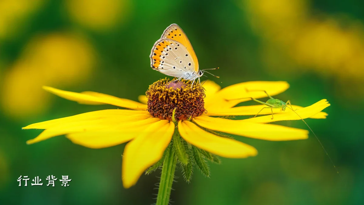 行业背景