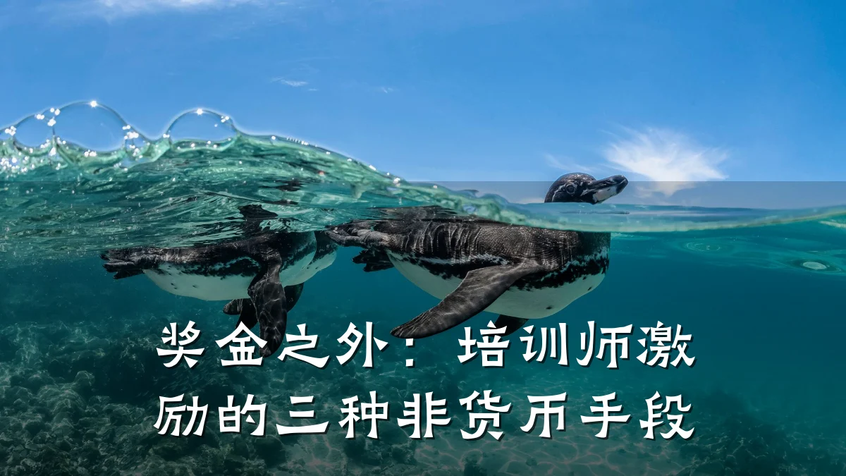 奖金之外:培训师激励的三种非货币手段
