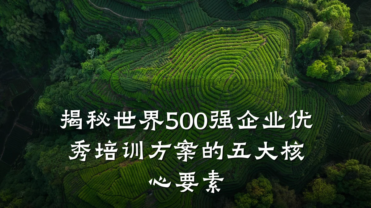 揭秘世界500强企业优秀培训方案的五大核心要素