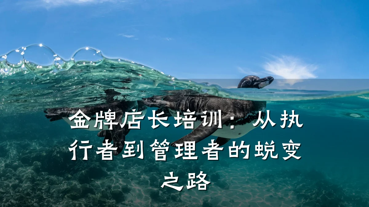 金牌店长培训：从执行者到管理者的蜕变之路
